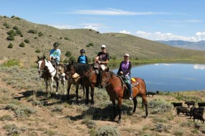 Horseback Riding & Tours in Aspen / Snowmass